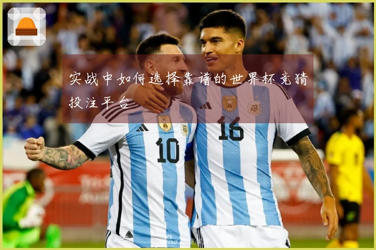 实战中如何选择靠谱的世界杯竞猜投注平台