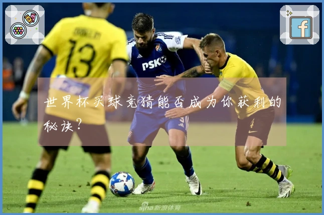 世界杯买球竞猜能否成为你获利的秘诀？