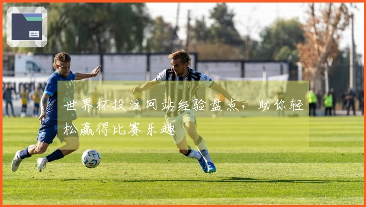 世界杯投注网站经验盘点，助你轻松赢得比赛乐趣