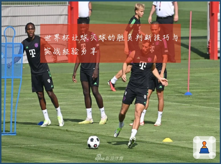 世界杯让球买球的胜负判断技巧与实战经验分享
