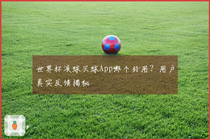 世界杯滚球买球App哪个好用？用户真实反馈揭秘