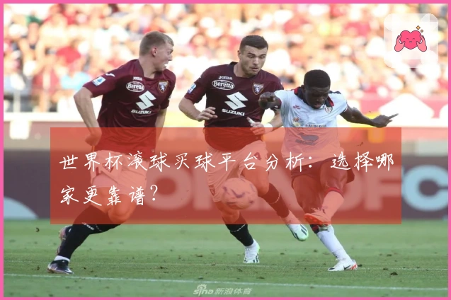 世界杯滚球买球平台分析：选择哪家更靠谱？