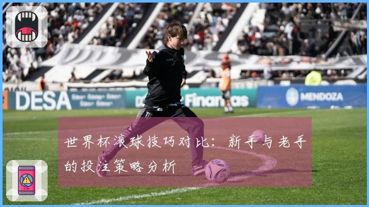世界杯滚球技巧对比：新手与老手的投注策略分析