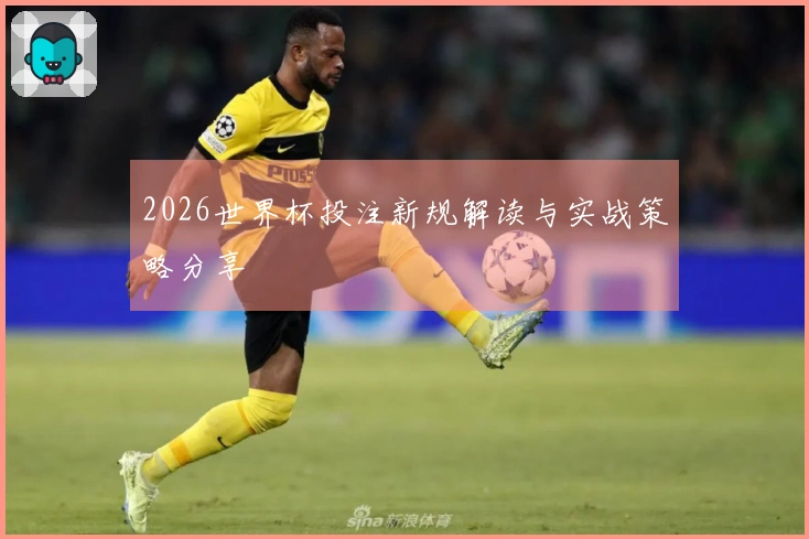 2026世界杯投注新规解读与实战策略分享