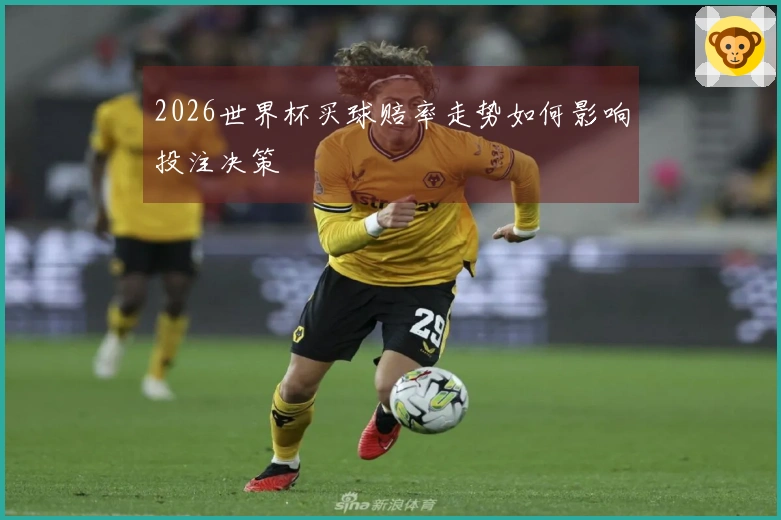 2026世界杯买球赔率走势如何影响投注决策