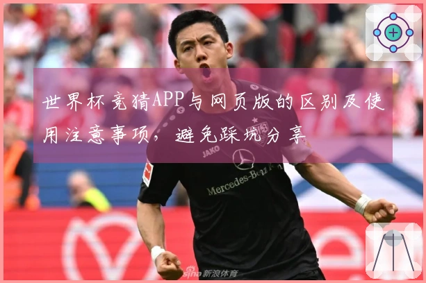 世界杯竞猜APP与网页版的区别及使用注意事项，避免踩坑分享