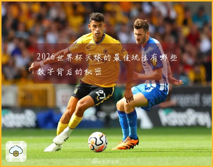 2026世界杯买球的最佳玩法有哪些数字背后的秘密