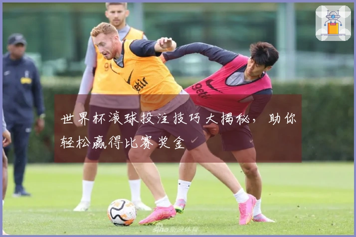 世界杯滚球投注技巧大揭秘，助你轻松赢得比赛奖金