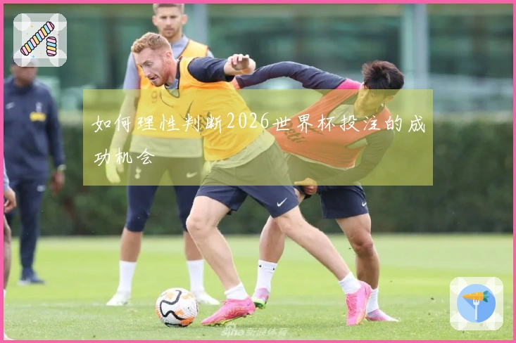 如何理性判断2026世界杯投注的成功机会
