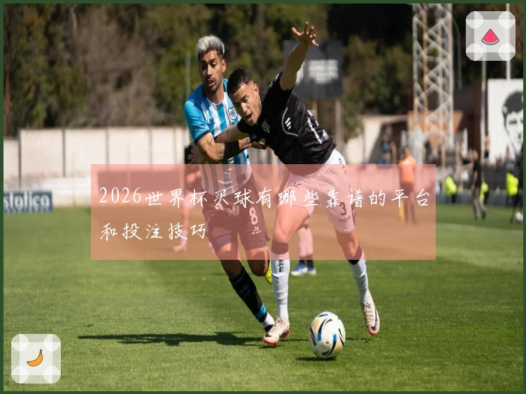 2026世界杯买球有哪些靠谱的平台和投注技巧