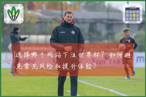 选择哪个网站下注世界杯？如何避免常见风险和提升体验？