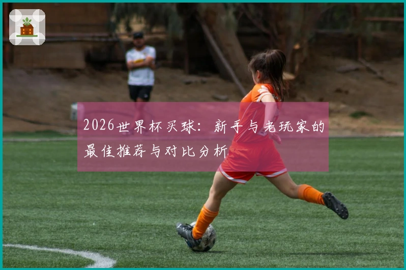 2026世界杯买球：新手与老玩家的最佳推荐与对比分析