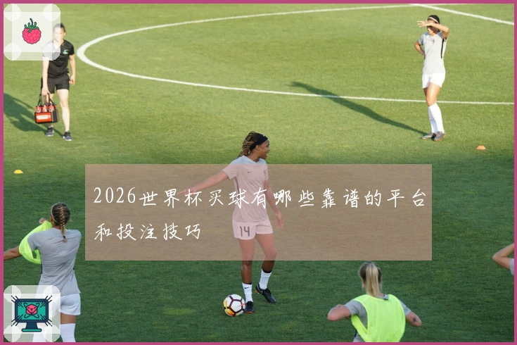 2026世界杯买球有哪些靠谱的平台和投注技巧