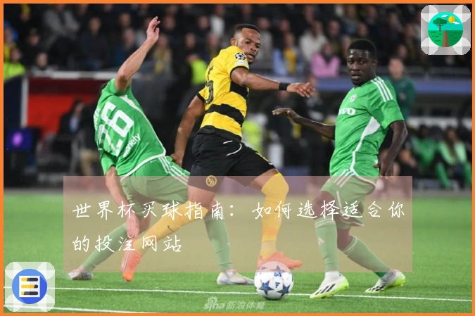 世界杯买球指南：如何选择适合你的投注网站