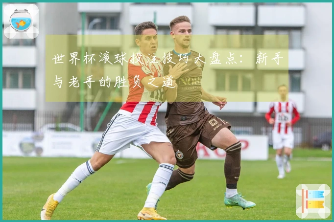 世界杯滚球投注技巧大盘点：新手与老手的胜负之道