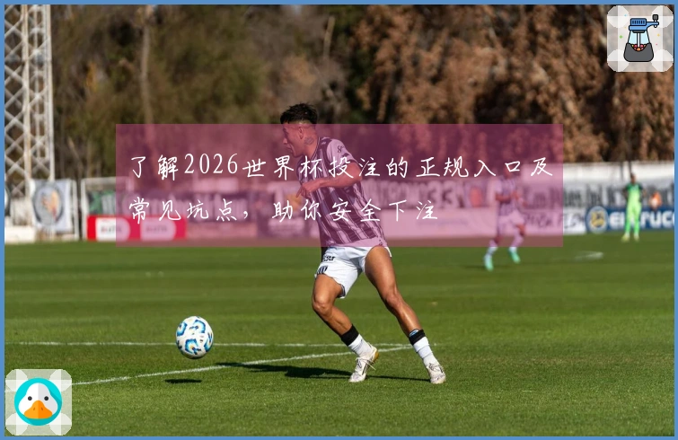 了解2026世界杯投注的正规入口及常见坑点，助你安全下注