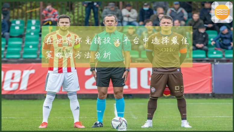 在世界杯竞猜投注平台中选择最佳策略的方法分析