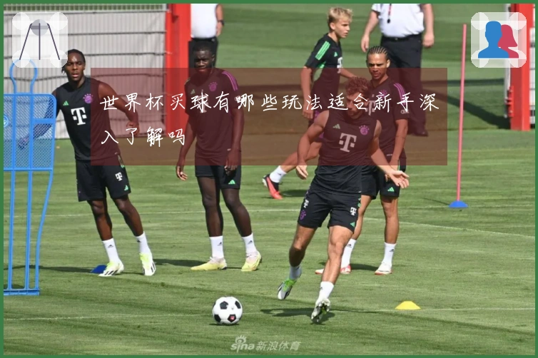 世界杯买球有哪些玩法适合新手深入了解吗