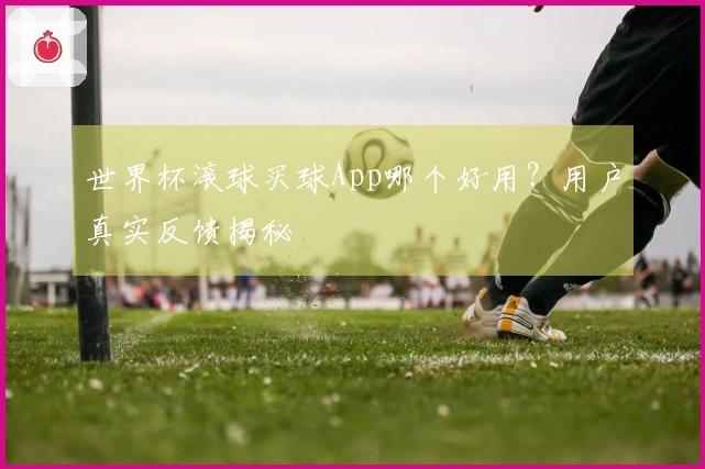世界杯滚球买球App哪个好用？用户真实反馈揭秘
